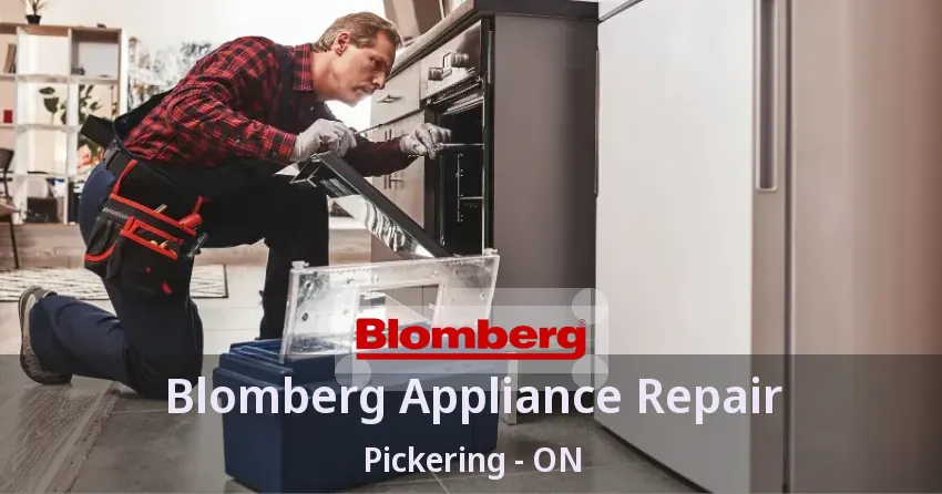 Blomberg Appliance Repair Pickering - ON