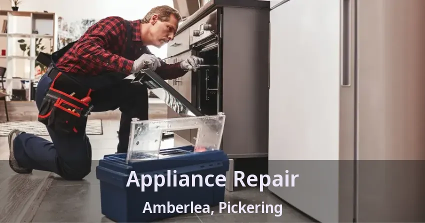 Appliance Repair Amberlea, Pickering - ON