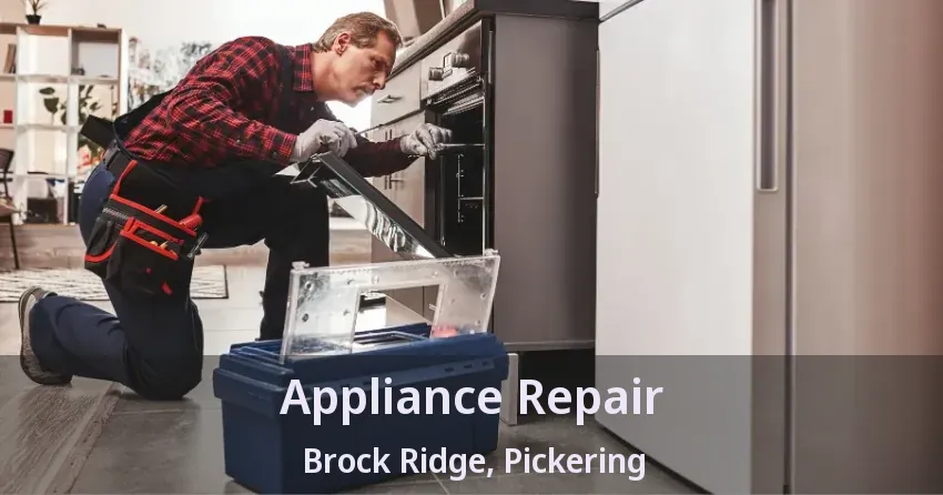 Appliance Repair Brock Ridge, Pickering - ON