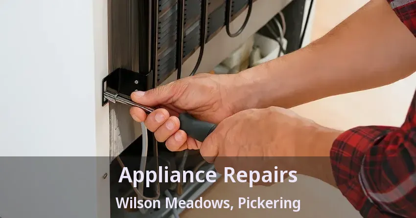 Appliance Repairs Wilson Meadows, Pickering - ON