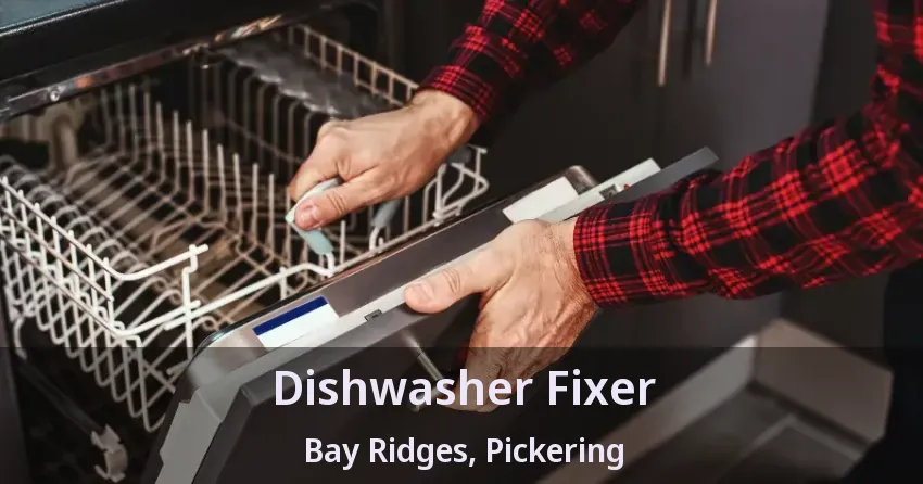 Dishwasher Fixer Bay Ridges, Pickering - ON