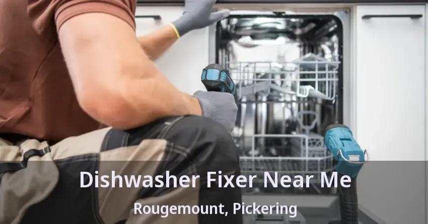Dishwasher Fixer Near Me Rougemount, Pickering - ON