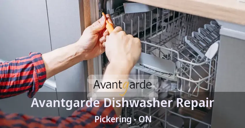 Avantgarde Dishwasher Repair Pickering - ON