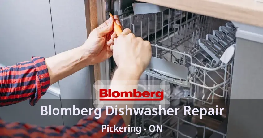 Blomberg Dishwasher Repair Pickering - ON