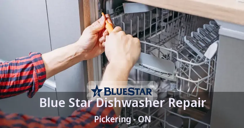 Blue Star Dishwasher Repair Pickering - ON