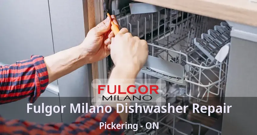 Fulgor Milano Dishwasher Repair Pickering - ON