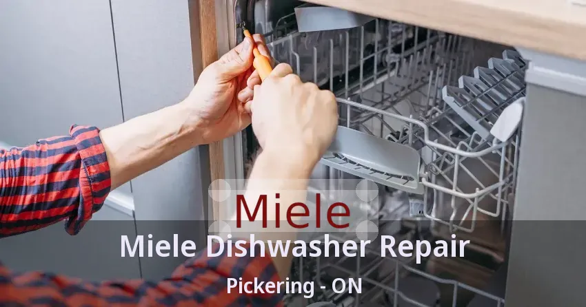 Miele Dishwasher Repair Pickering - ON