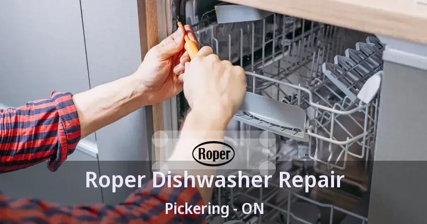 Roper Dishwasher Repair Pickering - ON