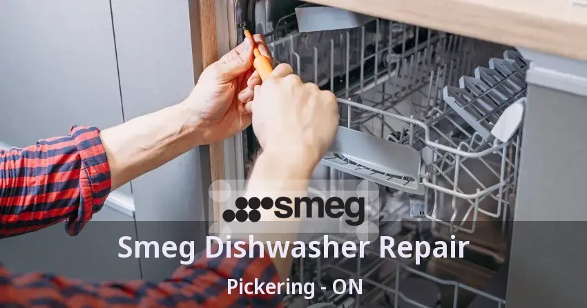 Smeg Dishwasher Repair Pickering - ON