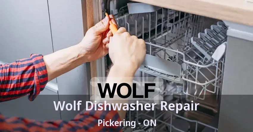 Wolf Dishwasher Repair Pickering - ON