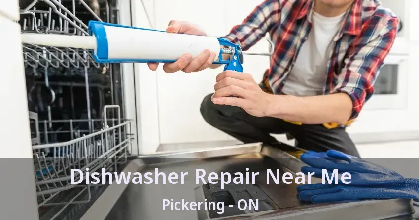 Dishwasher Repair Near Me Pickering - ON