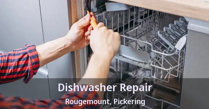 Dishwasher Repair Rougemount, Pickering - ON
