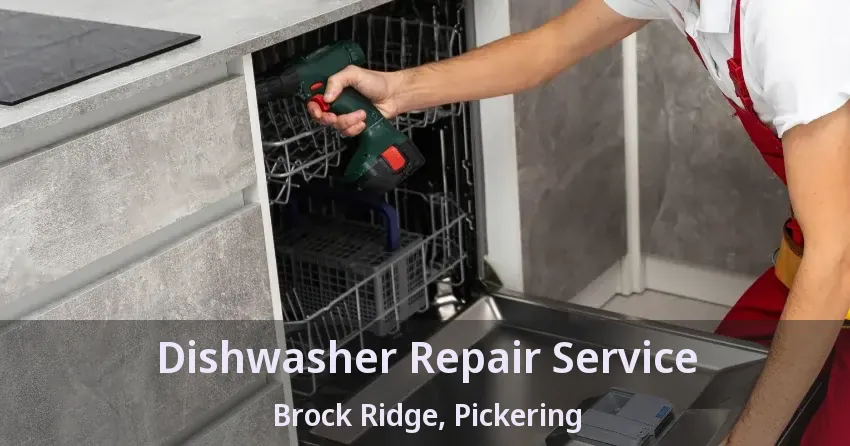 Dishwasher Repair Service Brock Ridge, Pickering - ON