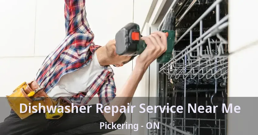 Dishwasher Repair Service Near Me Pickering - ON