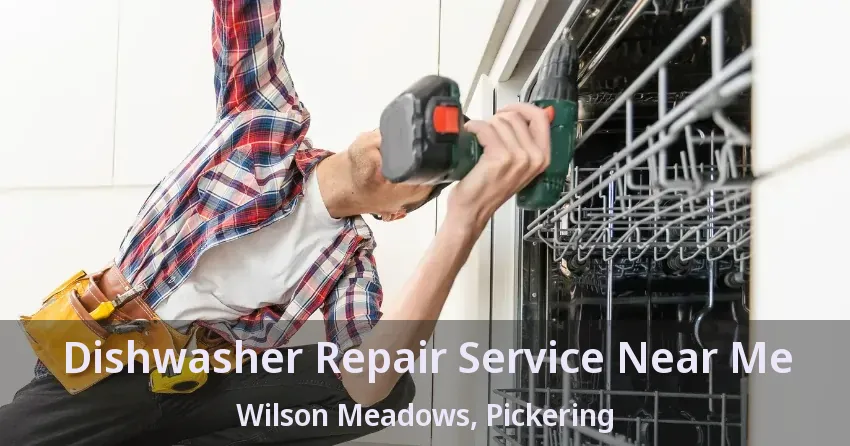 Dishwasher Repair Service Near Me Wilson Meadows, Pickering - ON