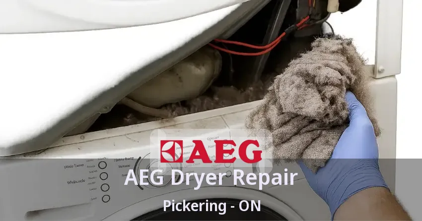 AEG Dryer Repair Pickering - ON