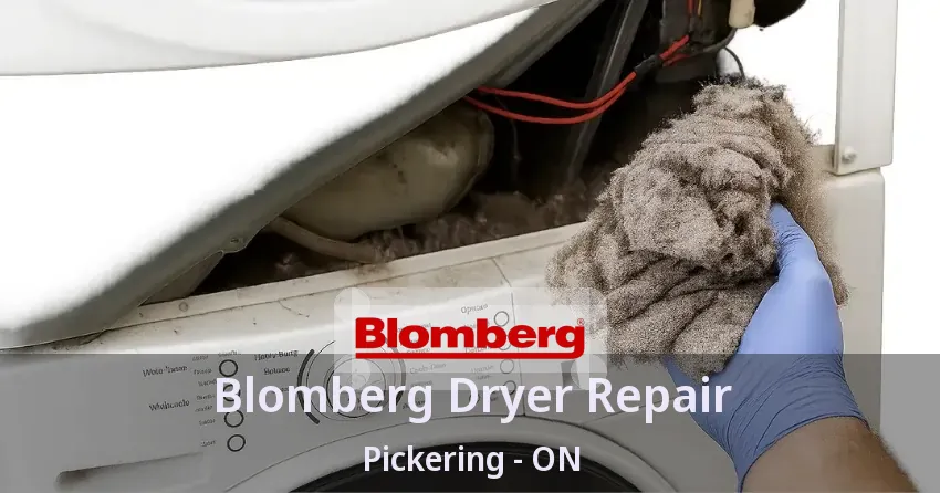Blomberg Dryer Repair Pickering - ON