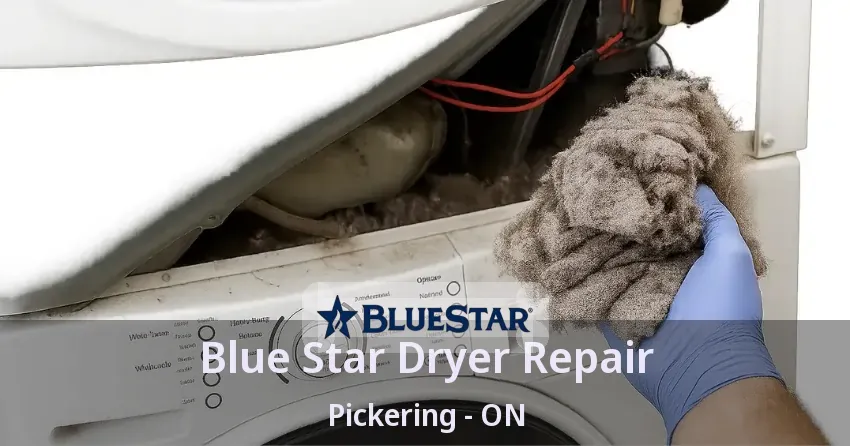 Blue Star Dryer Repair Pickering - ON