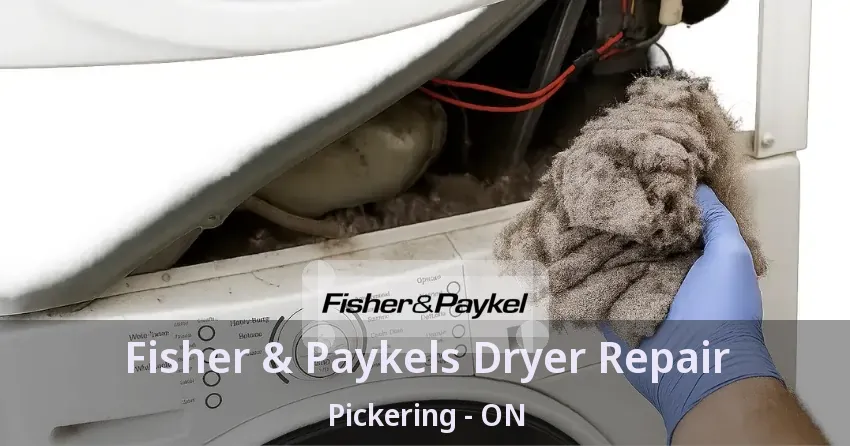 Fisher & Paykels Dryer Repair Pickering - ON