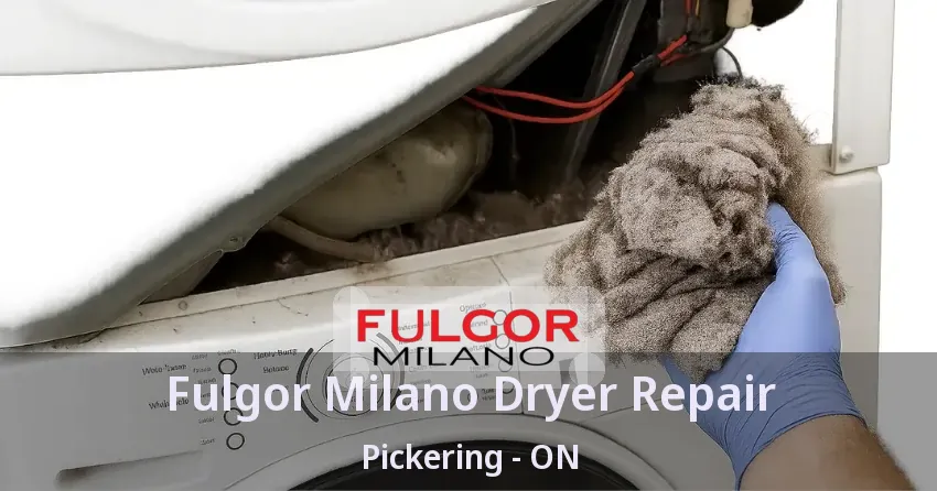 Fulgor Milano Dryer Repair Pickering - ON