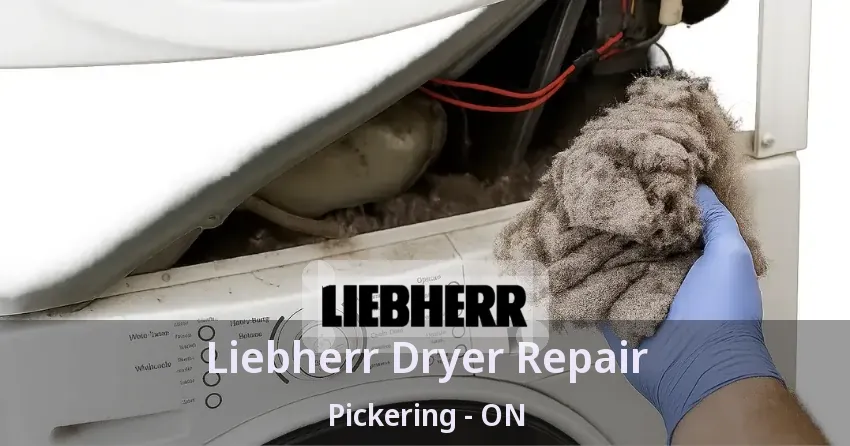 Liebherr Dryer Repair Pickering - ON
