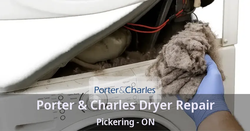Porter & Charles Dryer Repair Pickering - ON