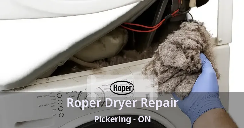 Roper Dryer Repair Pickering - ON