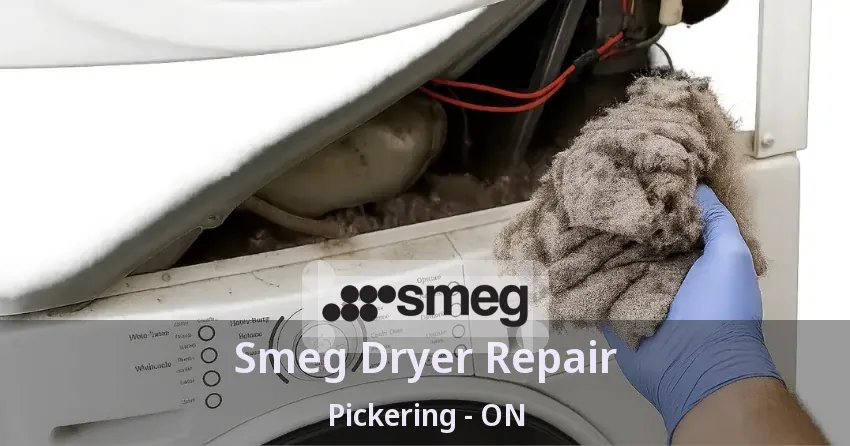 Smeg Dryer Repair Pickering - ON