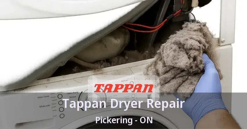 Tappan Dryer Repair Pickering - ON