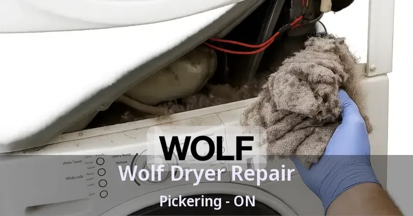 Wolf Dryer Repair Pickering - ON