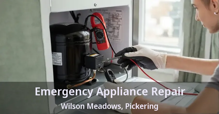 Emergency Appliance Repair Wilson Meadows, Pickering - ON