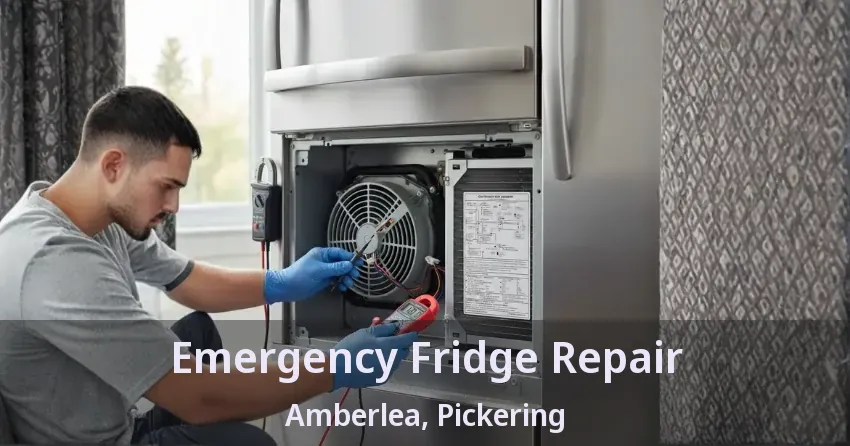 Emergency Fridge Repair Amberlea, Pickering - ON