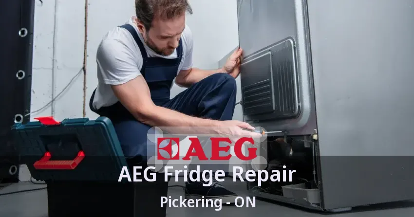 AEG Fridge Repair Pickering - ON