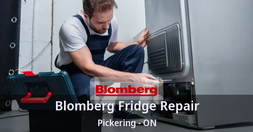 Blomberg Fridge Repair Pickering - ON
