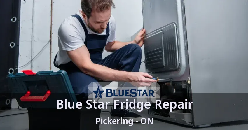 Blue Star Fridge Repair Pickering - ON