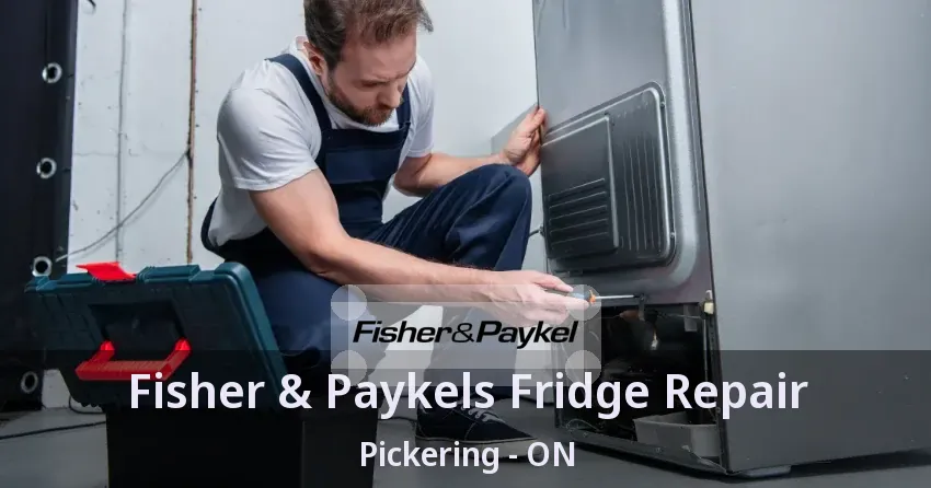 Fisher & Paykels Fridge Repair Pickering - ON