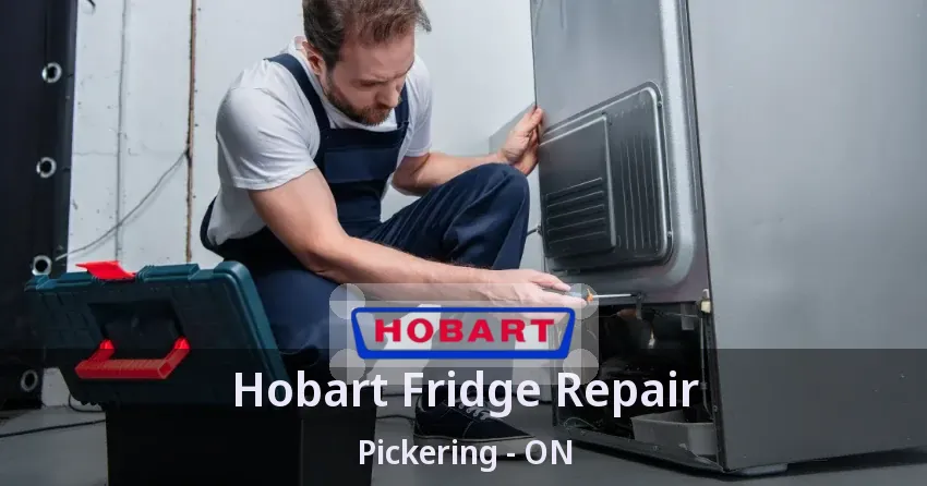 Hobart Fridge Repair Pickering - ON
