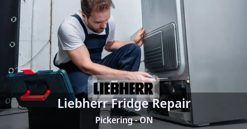 Liebherr Fridge Repair Pickering - ON