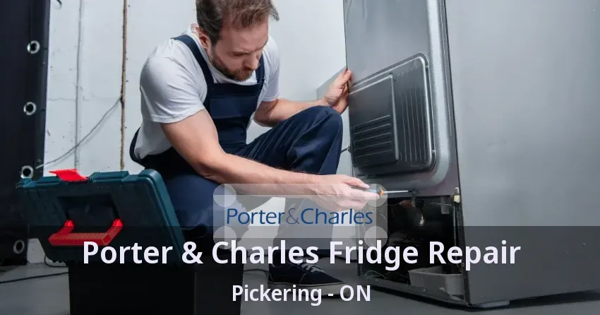 Porter & Charles Fridge Repair Pickering - ON