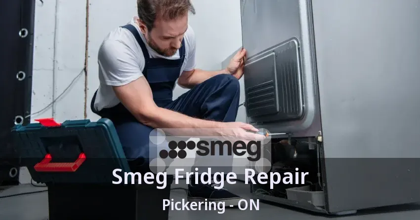 Smeg Fridge Repair Pickering - ON