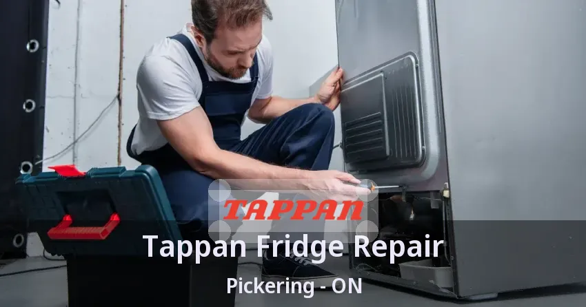 Tappan Fridge Repair Pickering - ON