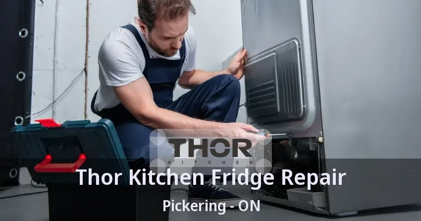 Thor Kitchen Fridge Repair Pickering - ON