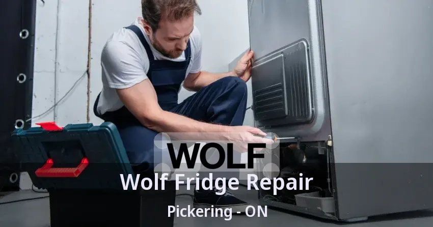 Wolf Fridge Repair Pickering - ON