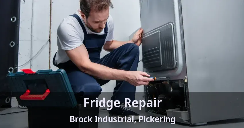 Fridge Repair Brock Industrial, Pickering - ON