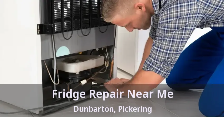 Fridge Repair Near Me Dunbarton, Pickering - ON