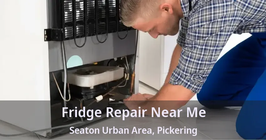 Fridge Repair Near Me Seaton Urban Area, Pickering - ON