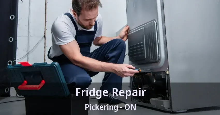Fridge Repair Pickering - ON