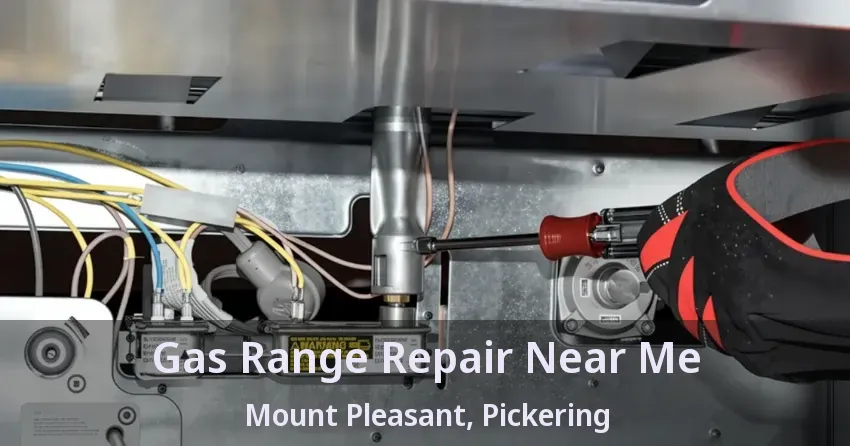 Gas Range Repair Near Me Mount Pleasant, Pickering - ON