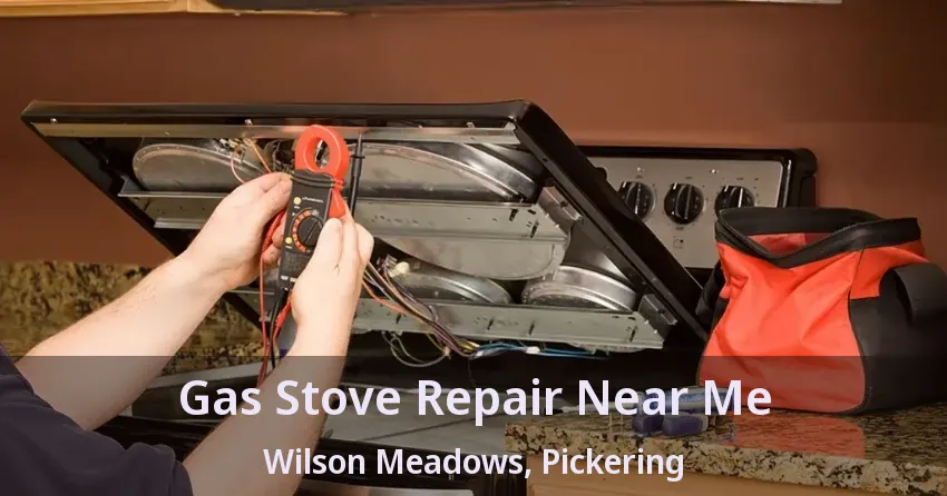 Gas Stove Repair Near Me Wilson Meadows, Pickering - ON