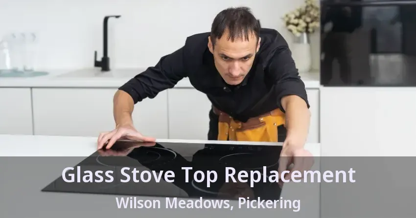 Glass Stove Top Replacement Wilson Meadows, Pickering - ON